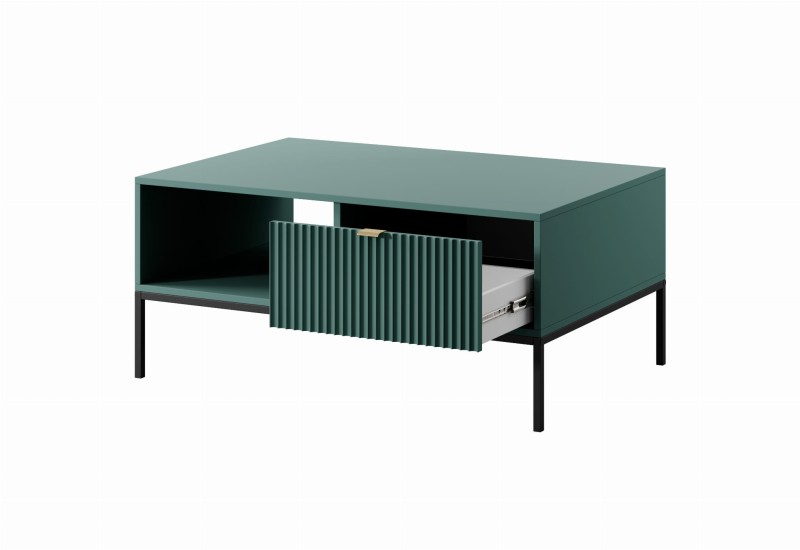 Piaski 23 08 09 Nova 1 Labrador czarny zloty otwarte biale tlo.jpg